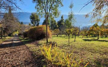 Villa Turismo 1 Hectarea