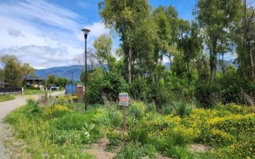 LOTE en VENTA BARRIO ABEDULES - EL BOLSON