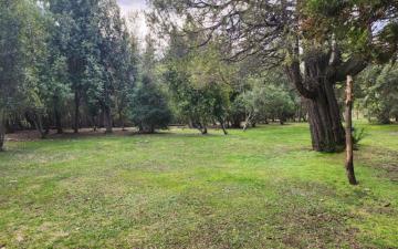 Excellent property 6000m2 with 1 house Villa turismo EL Bolsón .